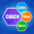 Coach, learn, train, skills in hexagons, flat design