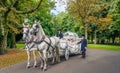 Coach with white horses and unknown people in a park