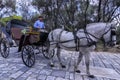 Coachman with his horse carriage in Acropolis, Athens - Greece Royalty Free Stock Photo