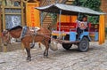 Coachman of horse-drawn vehicle is waiting