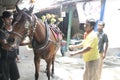 Coachman and horses subscriptions officials