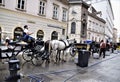 Coachmen on horse-drawn carriages, waiting for tourists for the tour of the city center, in Vienna.