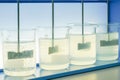 Coagulation test Jar test wastewater from industry plant Royalty Free Stock Photo