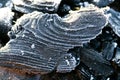 Coalbackground.Heating season. Frozen coal texture.Heating season.First frosts and colds.coal in hoarfrost close-up Royalty Free Stock Photo