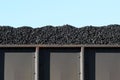 Coal in boxcar