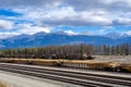 Coal cars and shipping container railway cars Royalty Free Stock Photo