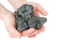 Coal coke in hand on white background