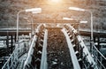 Coal conveyor system to the next step in the process of coal mining Royalty Free Stock Photo