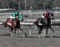 Coal Front Winning The Parx Mile