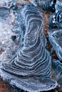 Coal in frost background. Frozen coal texture.Heating season.First frosts and colds.coal in hoarfrost close-up Royalty Free Stock Photo