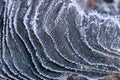 Coal in frost . Frozen coal texture.Heating season.First frosts and colds.coal in hoarfrost close-up Royalty Free Stock Photo