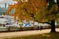 Coal Harbor Seawall Stroll Stanley Park Royalty Free Stock Photo