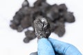 Coal lump in scientist hand. Laboratory coal analysis Royalty Free Stock Photo