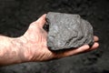 Coal in miner's hand