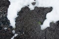 Coal shale layer in soil profile. Snow. Black charcoal texture background. Details on the surface of charcoal. Burning charcoal g