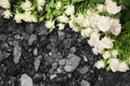 Coal stone white roses background