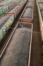 Coal trains at station Royalty Free Stock Photo