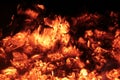 Coals in the big brazier. Royalty Free Stock Photo