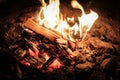 Coals of a campfire in the forest