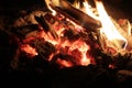 Coals of a campfire in the forest