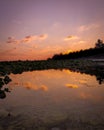 Coals, stones, rocks and algaes are comes out.of water during the astronomical low tide hit Kavaratti island lakshadweep Royalty Free Stock Photo