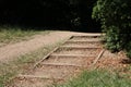 Coarse rustic wood edged steps or stairs in woodland setting