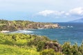 The coast along Punalau Bay, Maui