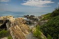 Coast of the Atlantic Ocean. Cliffs overgrown with wild flowers. USA. Maine Royalty Free Stock Photo