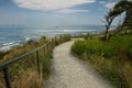 Coast of the Atlantic Ocean. Cliffs overgrown with wild flowers. USA. Maine Royalty Free Stock Photo