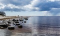 Coast of the Baltic Sea