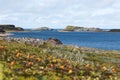 Coast of the Barents Sea