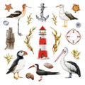 Coast birds hand drawn illustration set. Coastal elements lighthouse, seaweed, shells, puffin, pelican, seagull Royalty Free Stock Photo