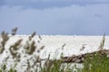 Coast, boats with white sails in the sea on the horizon, sailboa