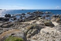 Coast in Brittany with big rocks, moss and blue water, beautiful reflections on the sea, sunny day