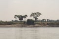 Coast of a Burmese river with trees