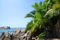 Coast with coconut palm trees near Grand l`Anse beach in La Digue island, Indian Ocean, Seychelles. Royalty Free Stock Photo