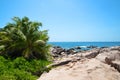 Coast with coconut palm trees near Grand l`Anse beach in La Digue island, Indian Ocean, Seychelles. Royalty Free Stock Photo