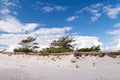 Coast of Darss, Germany