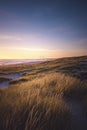 Coast in Denmark at Hvide Sande on a summer evening Royalty Free Stock Photo