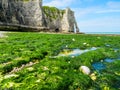 The coast of English Channel in outflow Royalty Free Stock Photo