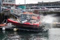 Coast Guard boat rinsed off