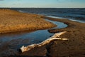 Coast of the Gulf of Finland in Komarovo Royalty Free Stock Photo