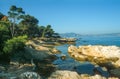 Coast of the Ile Saint Honorat