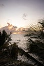 coast kenya mombasa, sunrise at sea. Indian ocean at sunrise, palm trees and a view to the horizon. Beautiful morning at the beach Royalty Free Stock Photo