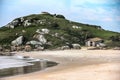 coast landscape with a seagull