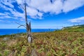 Coast at the lighthouse Ponta do Pargo on Madeira