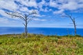 Coast at the lighthouse Ponta do Pargo on Madeira