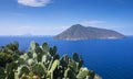 Coast of Lipari with cactus and view to volcano island Salina, Sicily Italy