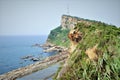 Coast near Yehliu Geopark, Taiwan Royalty Free Stock Photo