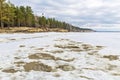 The coast of the Ob river with melting ice